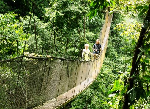 Hanging_bridges