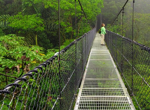 Hanging_bridges