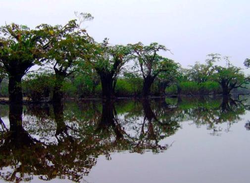 Cuyabeno_Reserve