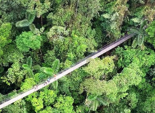 Hanging_bridges